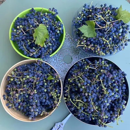 La Grange D'antornac Kwatera prywatna Soyaux